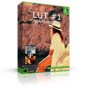 LUT #1 professional