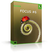 FOCUS #6